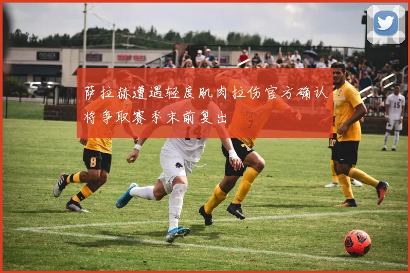 萨拉赫遭遇轻度肌肉拉伤官方确认将争取赛季末前复出